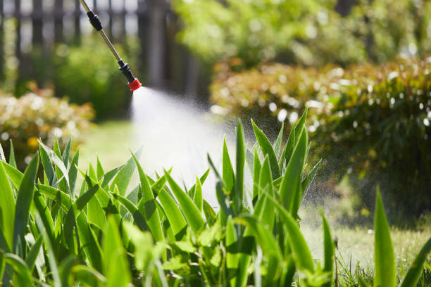 Tamper-Resistant Bait Stations for Rodents in Pomeroy