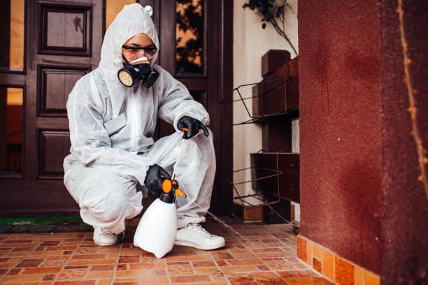 Attic and Crawl Space Rodent Treatment in Pomeroy