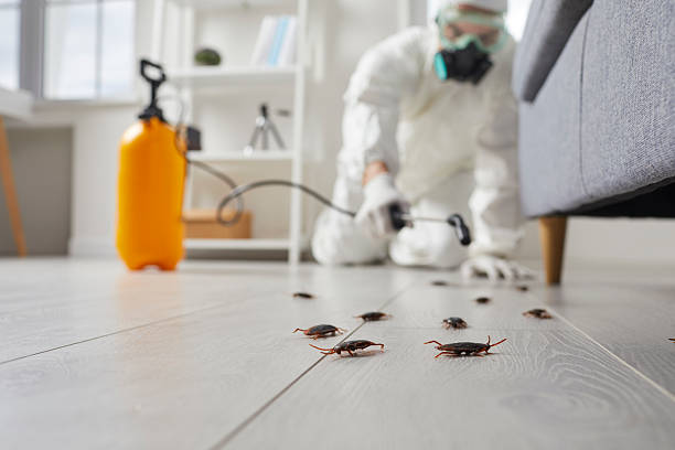 Commercial Rodent Management in Pomeroy