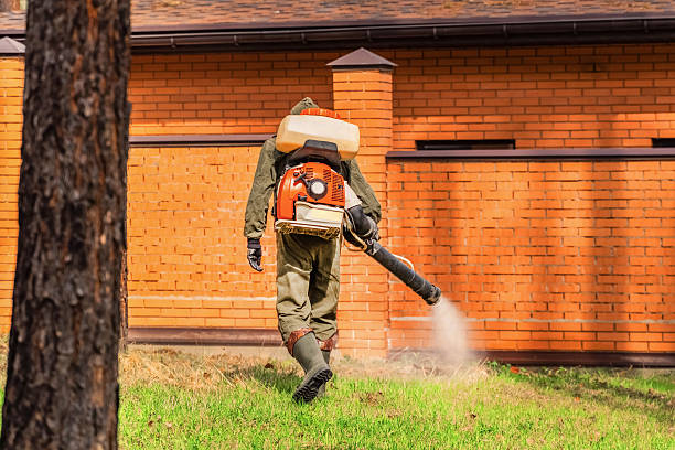 Rodent Follow-Up Monitoring in Pomeroy
